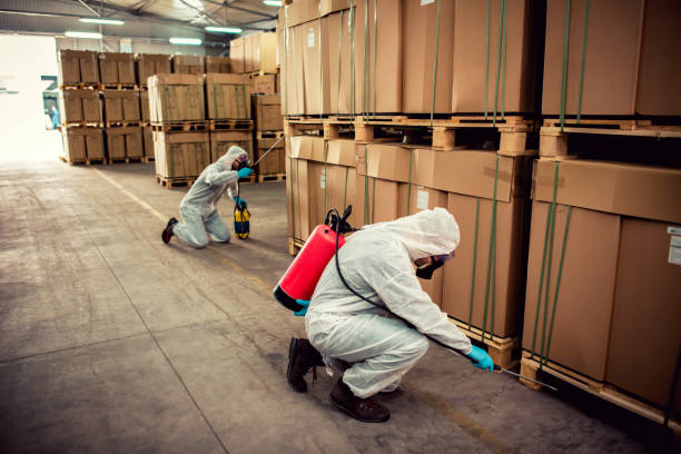Best Wasp Removal Services  in Midwest City, OK