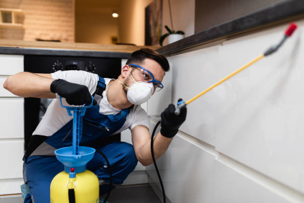 Best Pest Removal Services  in Midwest City, OK