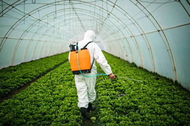 Professional Pest Control in Midwest City, OK