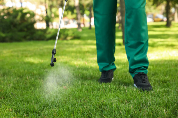 Pest Prevention Services in Midwest City, OK