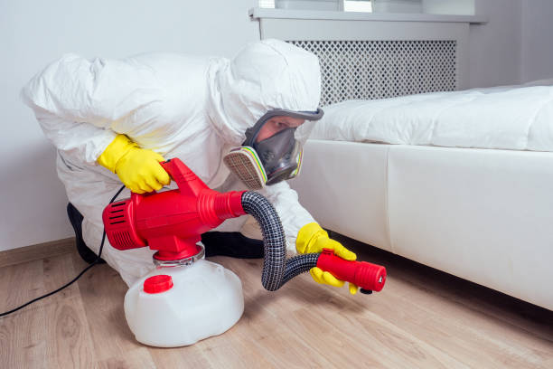 Best Bed Bug Extermination  in Midwest City, OK