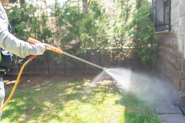 Best Spider Control Near Me  in Midwest City, OK