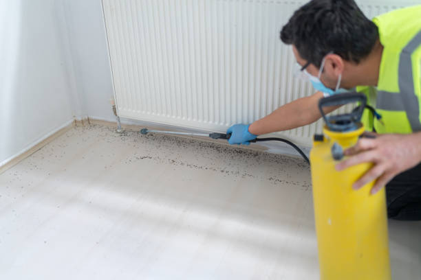 Best Termite Control Services  in Midwest City, OK